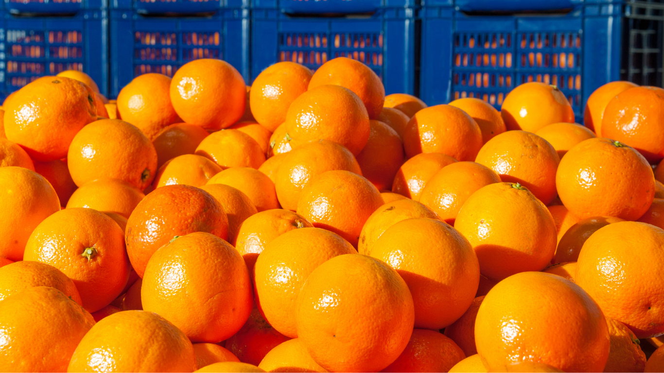 Orange
