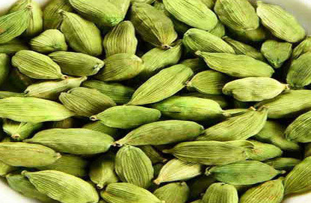 Cardamom