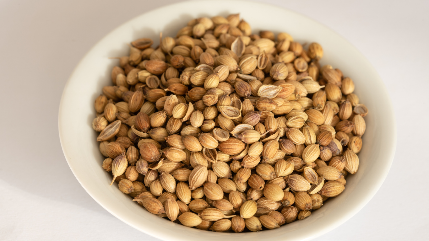 Coriander Seeds