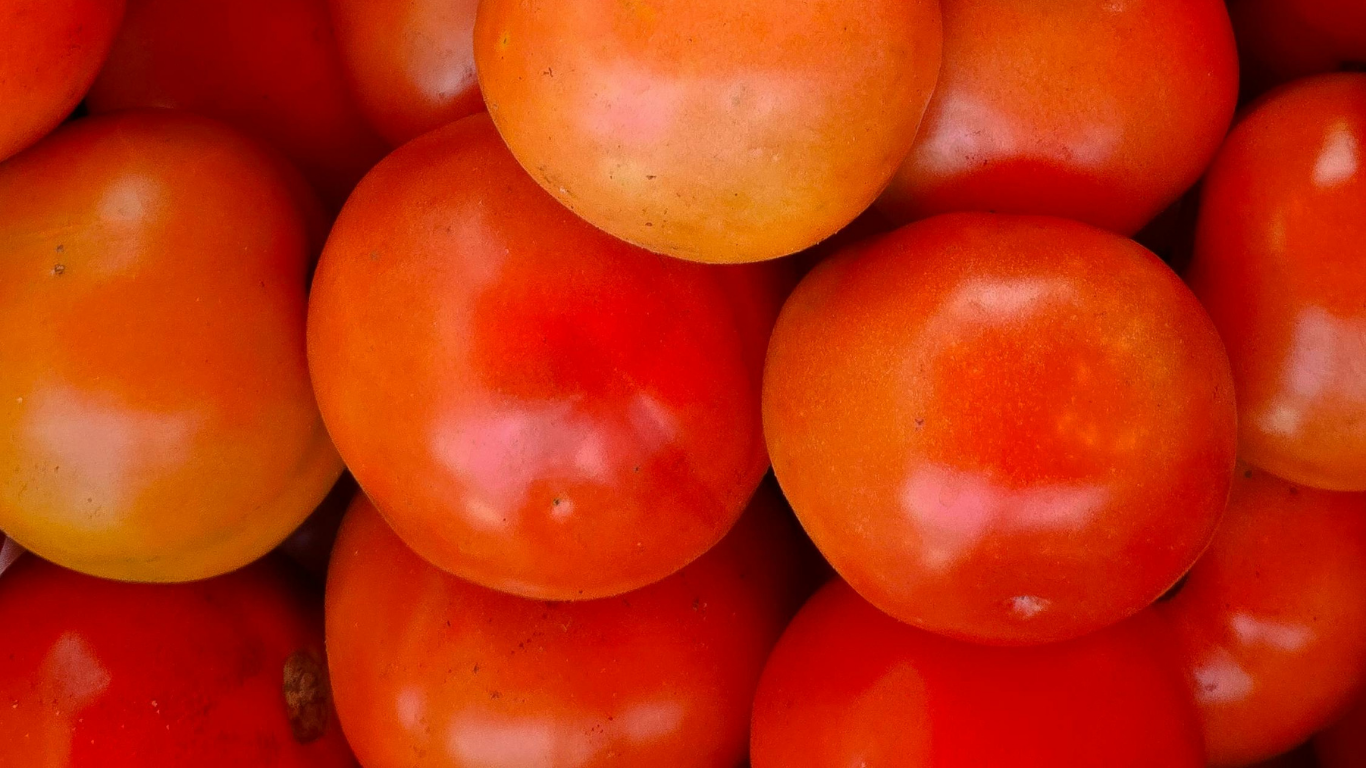 Tomato
