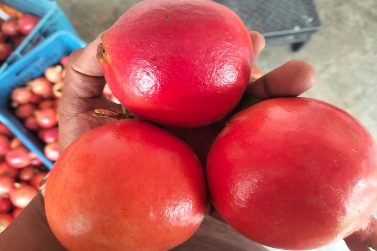 Pomegranate