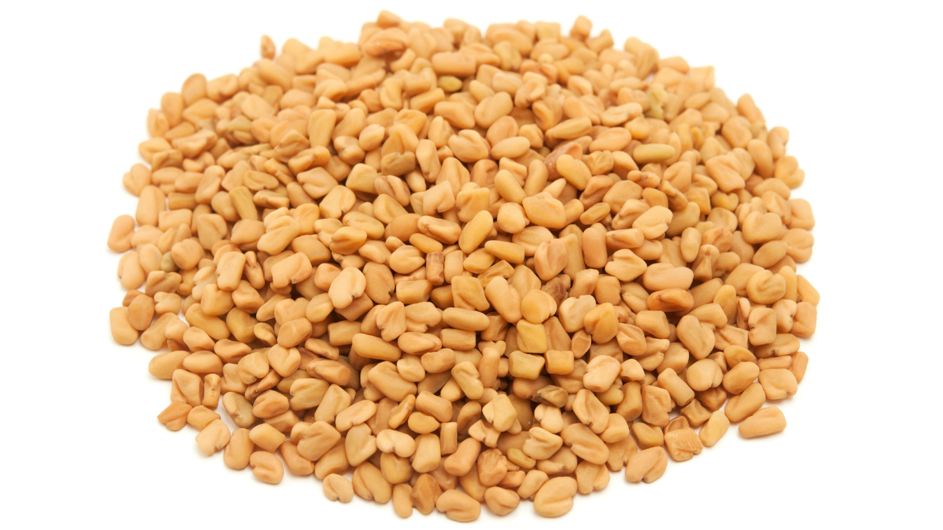 Fenugreekseeds