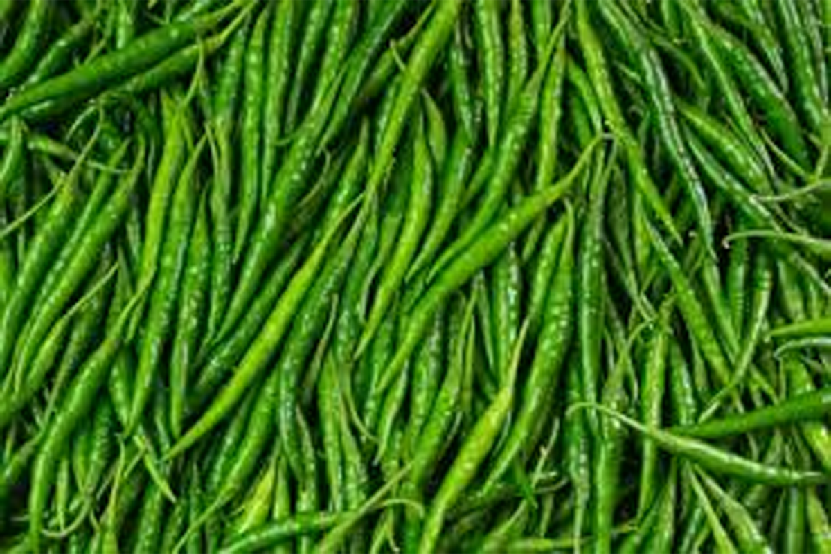 Greenchilli